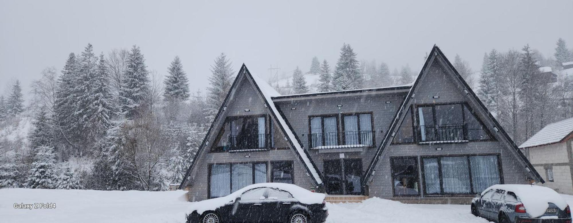 Cabana Din Vale Arieseni Apuseni Exterior foto